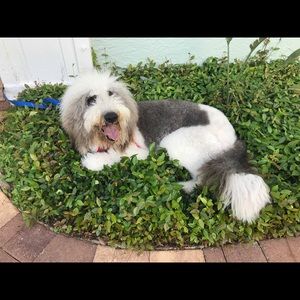 Meet your Posher, Karin